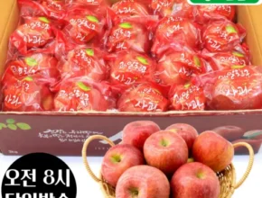 인플추천 2023 데일리 세척사과 부사 6kg_총 24250g 핫 아이템