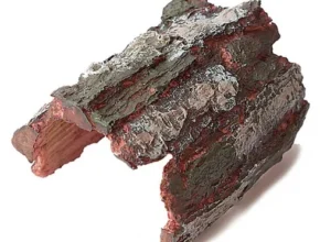 내돈내산 가재은신처 핫 아이템