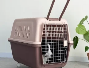 요즘 뜨는 강아지켄넬 BEST 제품