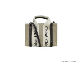 요즘 뜨는 끌로에가방 가성비 좋은 제품