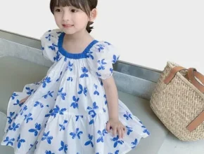 내돈내산 로망스 메시 원피스 2종  핫 아이템