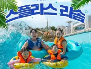 내돈내산 리솜 만족도 최고 제품