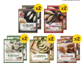 인플추천 만두 5종 20봉 세트  가성비 좋은 제품
