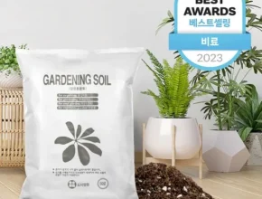 요즘 뜨는 몬스테라혼합분갈이흙 핫 아이템