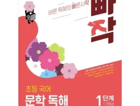 내돈내산 빠작문학 만족도 최고 제품