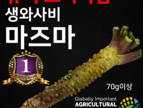 요즘 핫한 시즈오카고추냉이 가격 비교