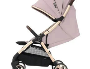 인플추천 에그z휴대용 가격 비교