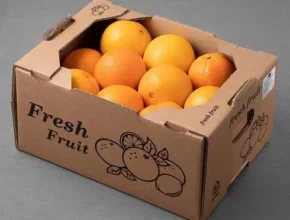 핫딜 열매나무 캘리포니아 네이블 고당도 오렌지 7kg 베스트 추천 제품