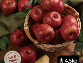 내돈내산 열매나무 특등급 사과 3kg 가성비 좋은 제품