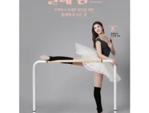 특가 위메르발레핏 TOP 제품