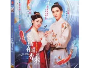 인플추천 위유암향래 TOP 제품