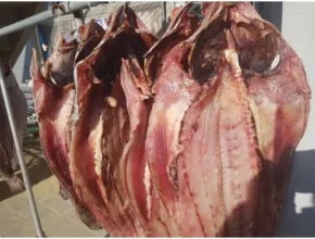 요즘 핫한 자연산반건조민어 TOP 제품