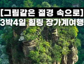 내돈내산 장가계 패키지 베스트셀러