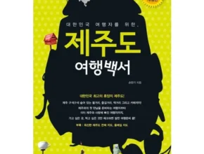 내돈내산 제주공항면세점레이벤 만족도 최고 제품