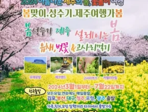 특가 제주여행 3박 4일 핫 아이템