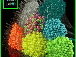 특가 찌멈춤고무 가격 비교