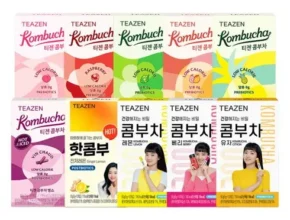 내돈내산 티젠콤부차 추천