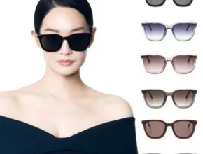 핫딜 파도바 선글라스 VVCC25 추천