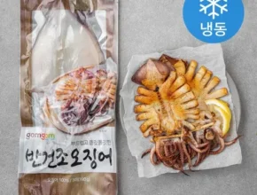 내돈내산 피데기오징어 만족도 최고 제품