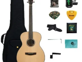 내돈내산 헥스통기타 추천