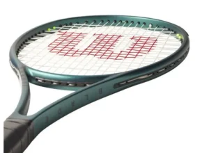 요즘 뜨는 윌슨스쿼시채 베스트셀러