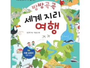 내돈내산 테마지리 베스트 추천 제품