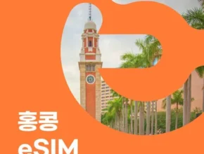 핫딜 홍콩이심 BEST 제품